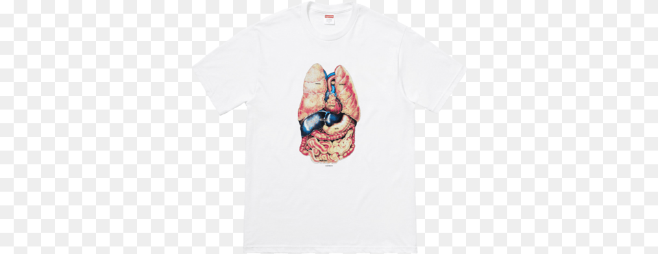 Supreme Guts Tee, Clothing, T-shirt, Person, Skin Free Transparent Png