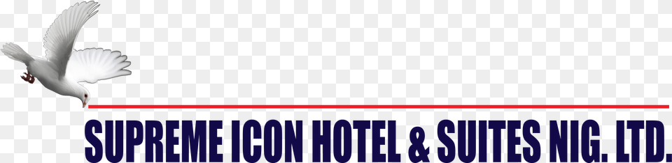 Supreme Icon Hotel Amp Suite Dove Of Peace, Animal, Bird, Flying, Pigeon Free Transparent Png