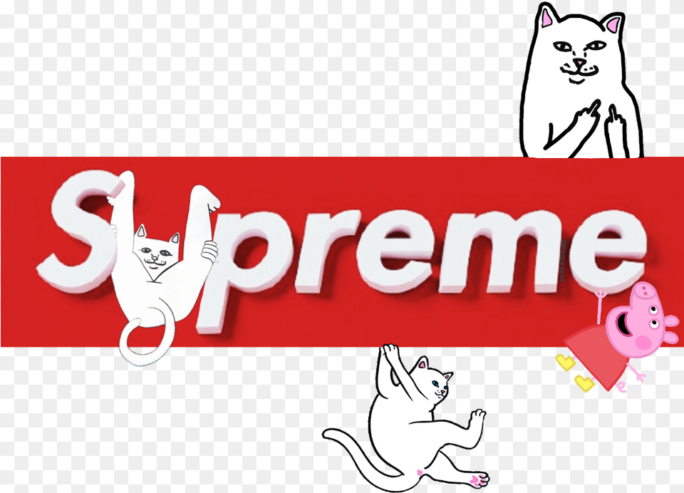 Supreme Pepapig Pig Pepa Meme Cat Ripndipcat Ripndip Supreme Box Logo, Sticker, Person, Animal, Mammal Free Transparent Png