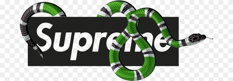 Supreme Photos Transparent Background Gucci Logo, Animal, Reptile, Snake, King Snake Png