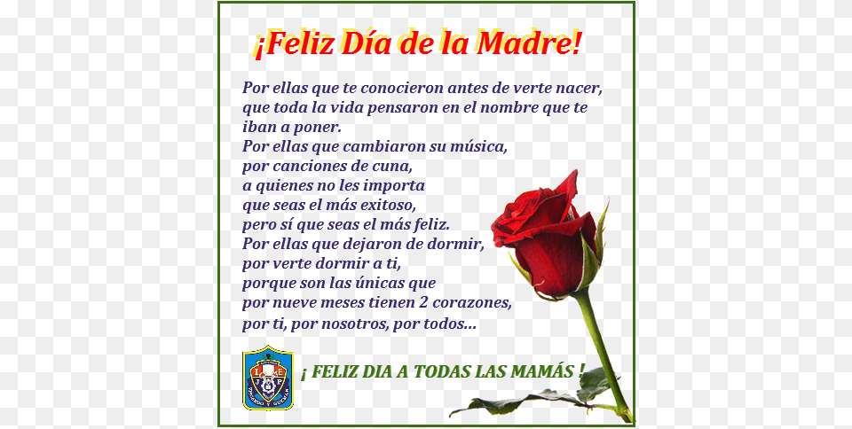 Supuesto A Todas La Madres Que Laboran En Nuestra Institucin Feliz Da De La Madre Bendiciones, Flower, Plant, Rose, Petal Free Png