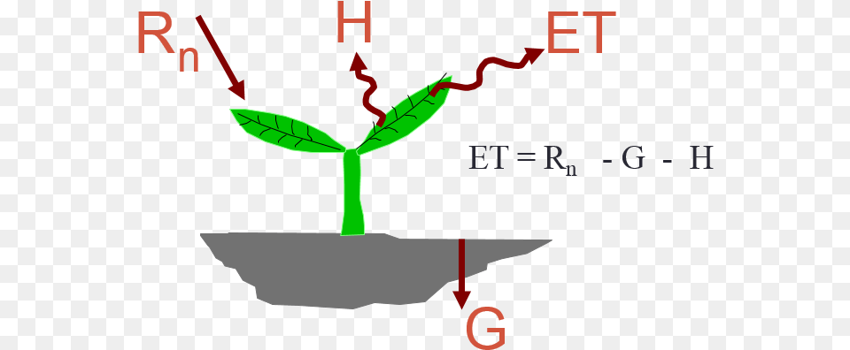 Surface Energy Balance, Leaf, Plant, Sprout Free Png Download