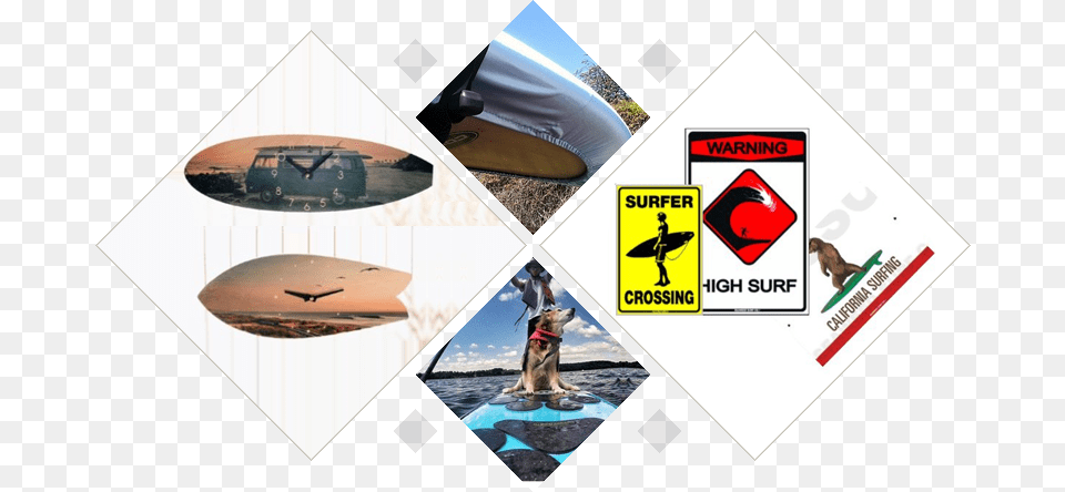 Surfer, Lifejacket, Vest, Clothing, Mammal Png Image