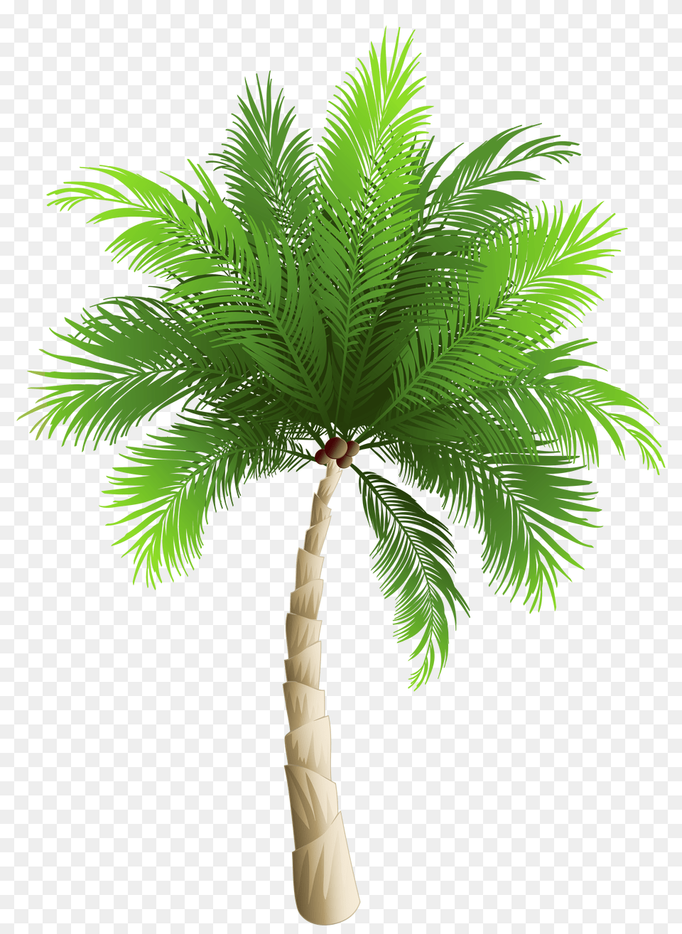 Surfing Clipart Palm Tree Transparent Palm Tree Beach Free Png Download
