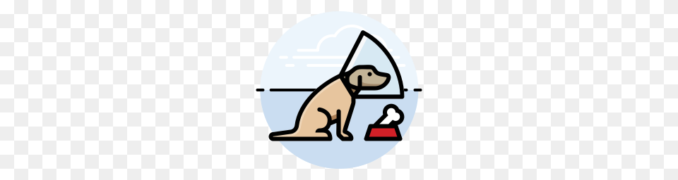Surgical Services, Animal, Mammal Free Transparent Png