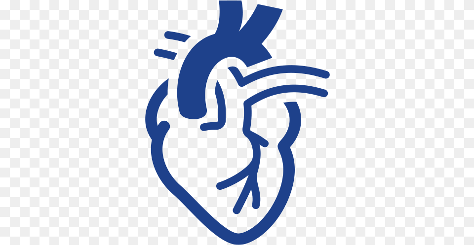 Surgical Services Heart Disease Icon, Person Free Transparent Png