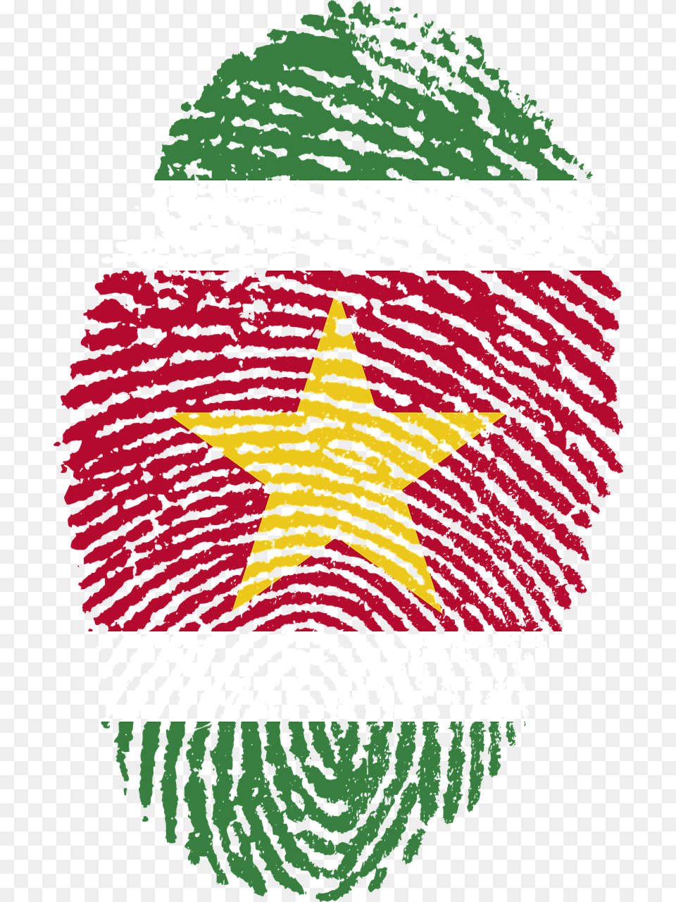 Suriname Flag Fingerprint Photo Suriname, Home Decor, Symbol, Person, Face Free Png Download