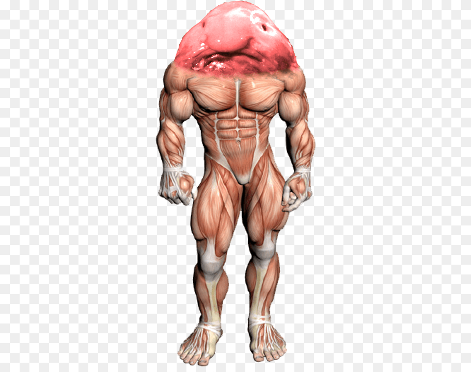 Surreal Memes Wiki Bench Press Muscles, Adult, Body Part, Male, Man Png Image