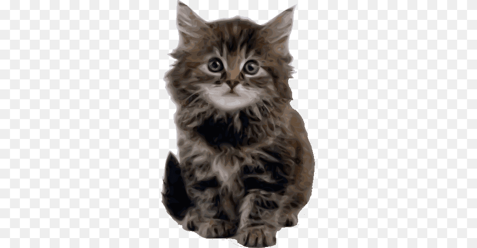 Survey Kitten Happy Fathers Day Kitten, Animal, Cat, Mammal, Manx Free Png Download