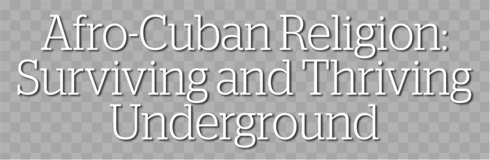 Surviving And Thriving Underground Architecture, Letter, Text Png Image