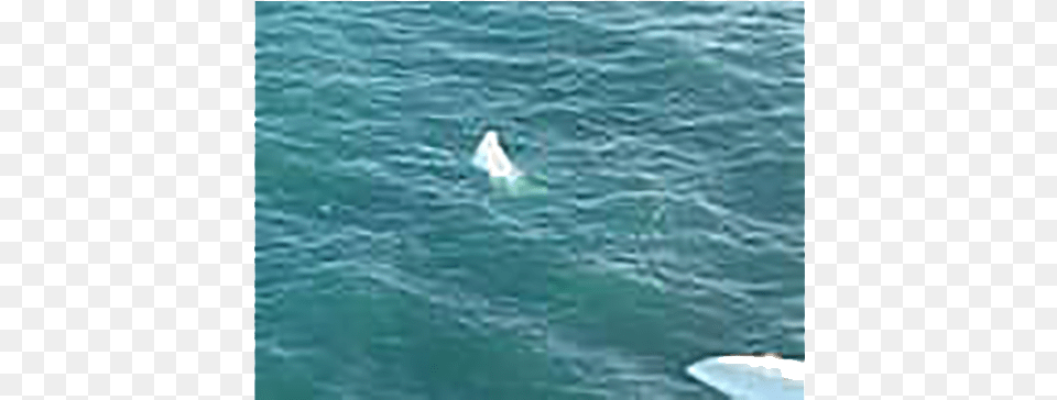 Survivor Story 2 B Spinner Dolphin, Boat, Sailboat, Transportation, Vehicle Png