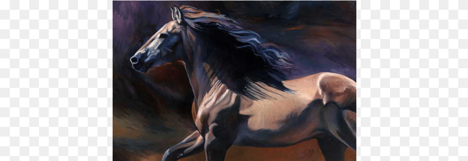 Susan Sheets Stallion, Animal, Horse, Mammal, Colt Horse Png Image