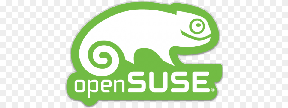 Suse Linux Opensuse Operating Opensuse, Animal, Lizard, Reptile, Green Lizard Free Png