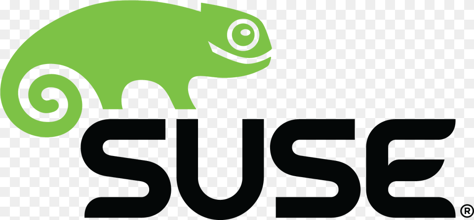 Suse Logo Logok Suse Linux Enterprise Server Hpe, Animal, Lizard, Reptile, Green Lizard Free Png