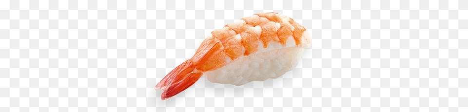 Sushi, Animal, Seafood, Meal, Invertebrate Png
