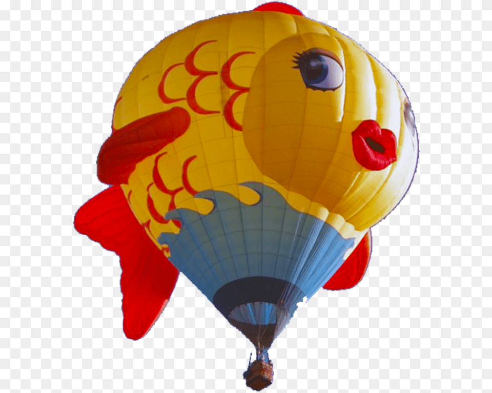 Sushi Hot Air Balloon, Aircraft, Hot Air Balloon, Transportation, Vehicle Free Png Download