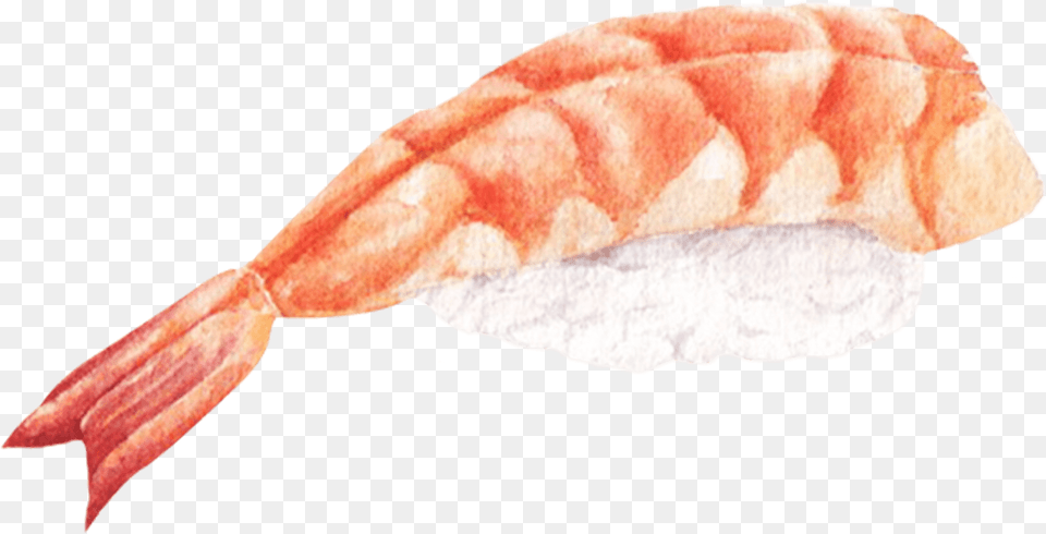 Sushi Japanese Food Watercolor By We Studio Soft, Dish, Meal, Seafood, Person Free Transparent Png
