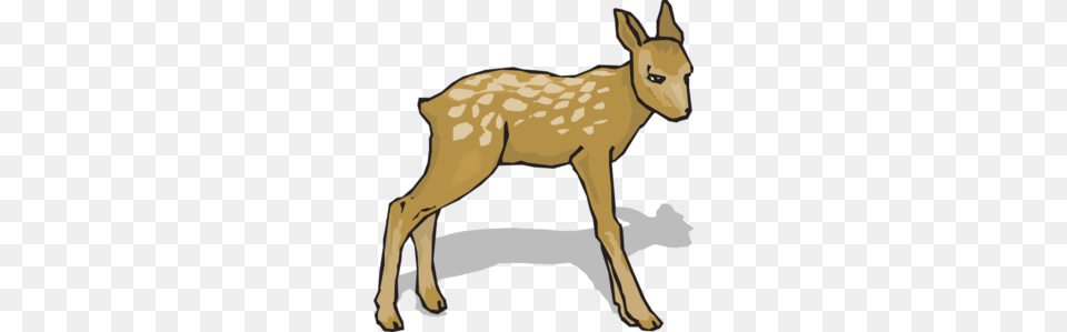 Suspicious Fawn Clip Art, Animal, Deer, Mammal, Wildlife Free Png Download