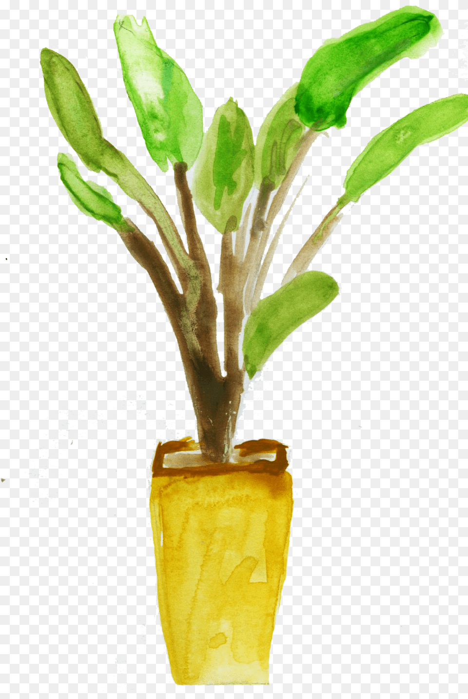 Sustain Your Style Houseplant, Leaf, Plant, Potted Plant, Flower Free Transparent Png