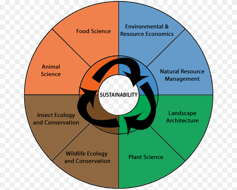 Sustainability At Canrfull Resolution, Disk Png