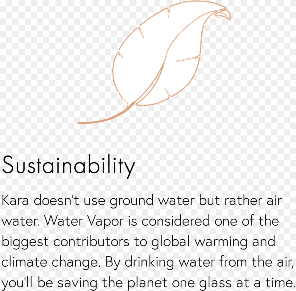 Sustainability Blurb, Leaf, Plant, Outdoors, Nature Free Transparent Png