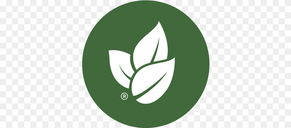 Sustainability Glenroy Inc Vertical, Leaf, Plant, Green, Recycling Symbol Free Png