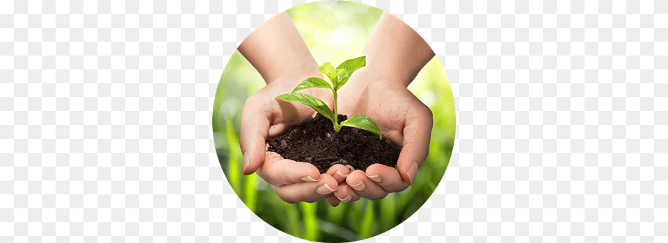 Sustainability Hand, Soil, Planting, Plant, Person Free Transparent Png