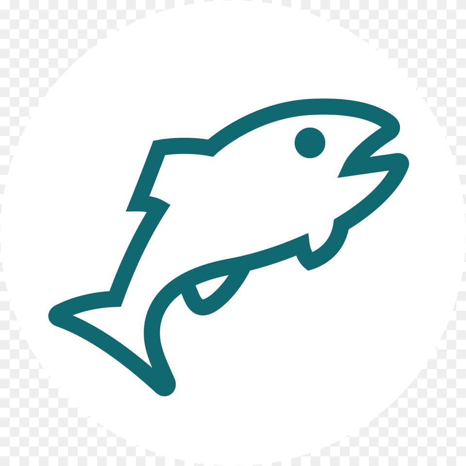 Sustainability Idaho Power Fish Products, Animal, Sea Life, Disk, Mammal Free Transparent Png