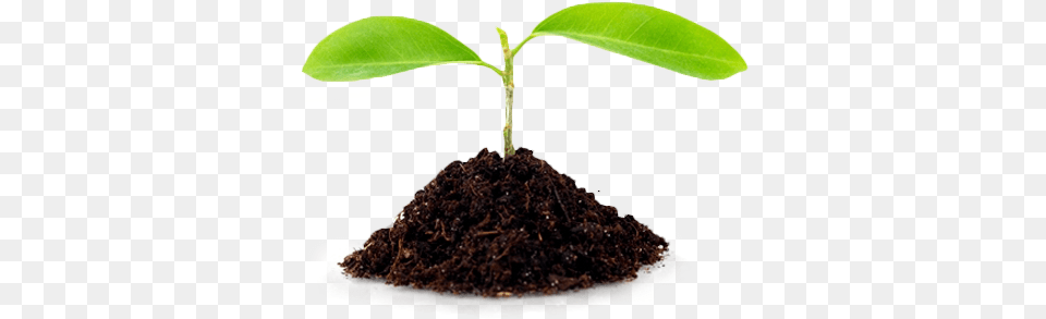 Sustainability Soil, Leaf, Plant, Sprout Png