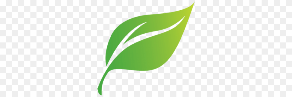 Sustainability Standards Across Our Business, Green, Leaf, Plant, Herbal Free Transparent Png