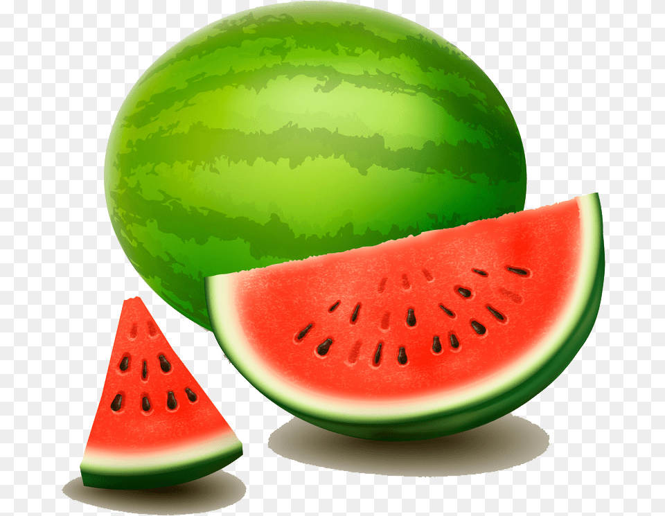 Svg Berry Drawing Water Melon Slices Of Watermelon Vector, Food, Fruit, Plant, Produce Free Png Download