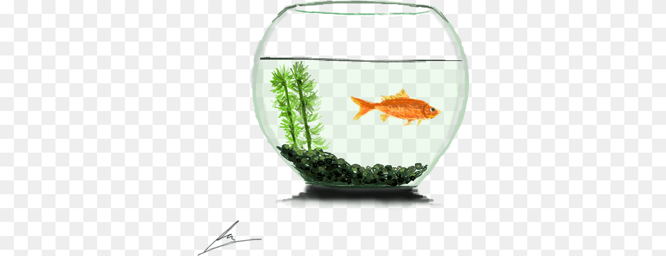 Svg Black And White Download A By Borockman Goldfish In A Bowl, Animal, Aquarium, Fish, Sea Life Free Png
