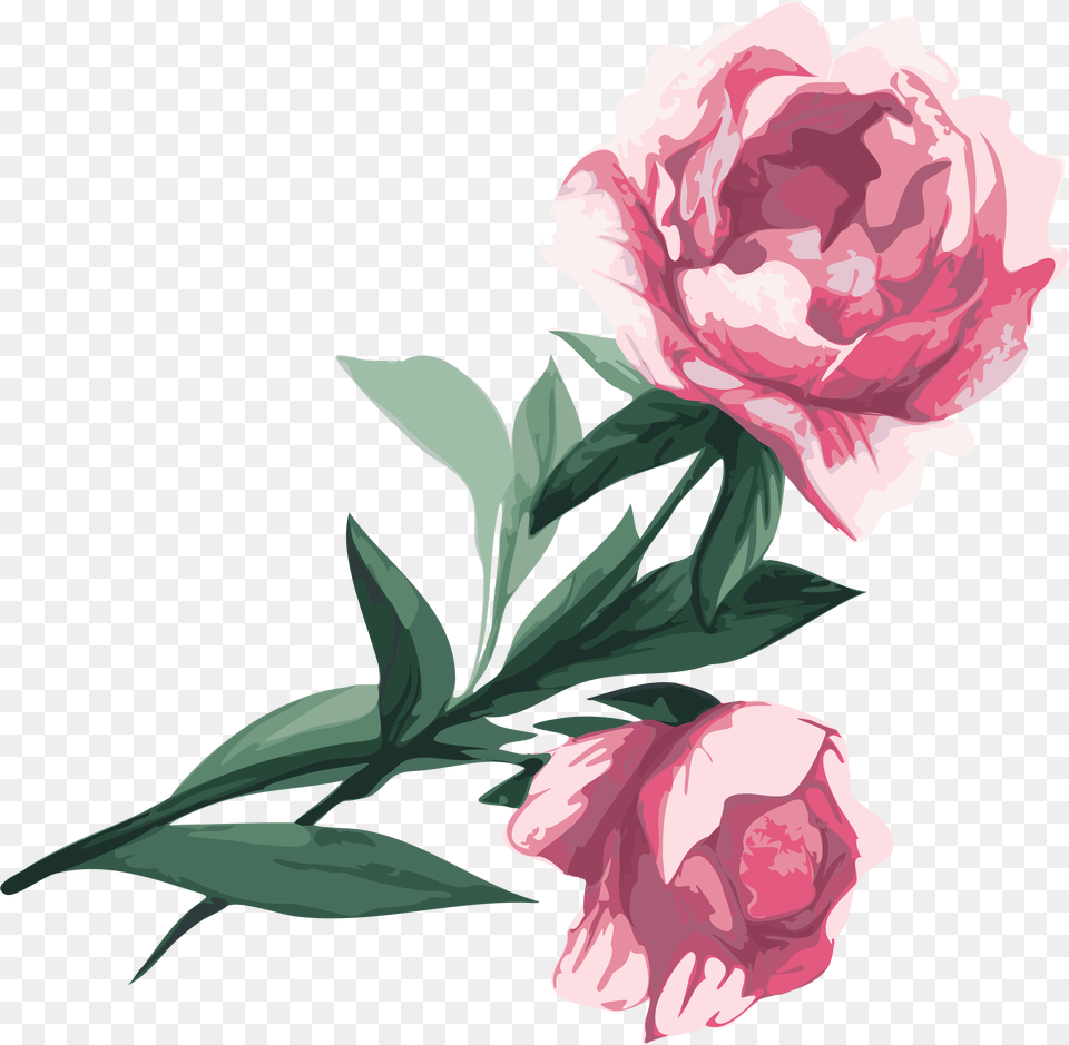 Svg Black And White Flower Garden Roses Peony Clip, Carnation, Plant, Rose Png Image