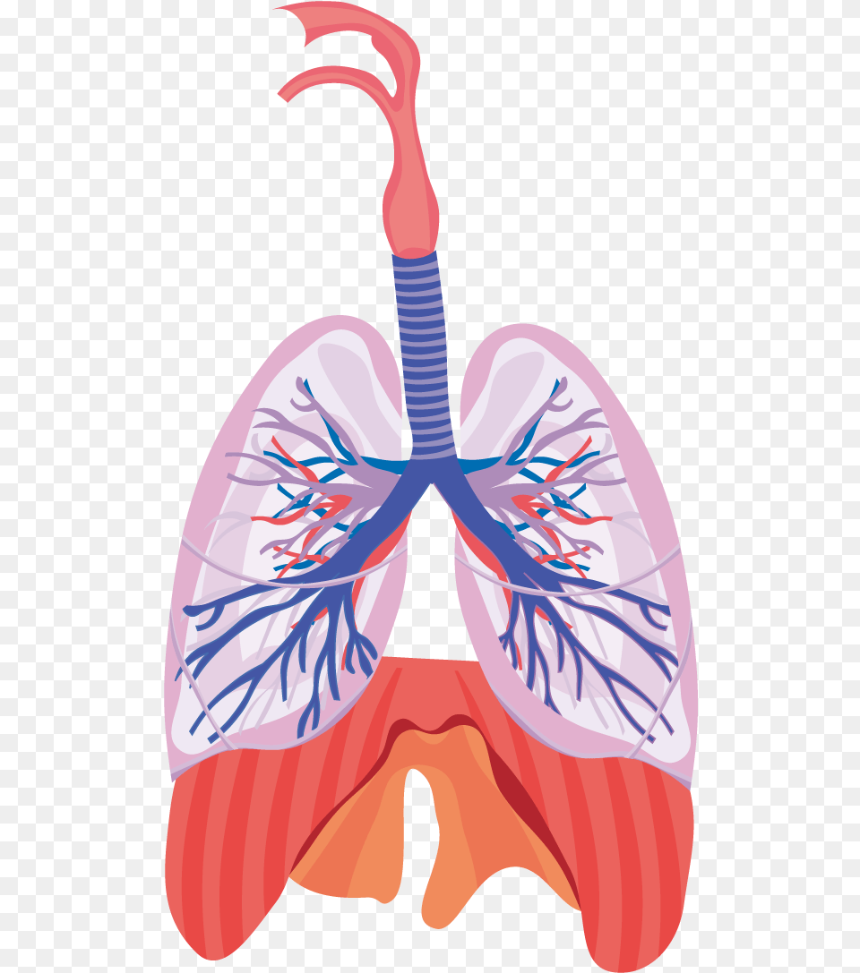 Svg Black And White Library Respiratory System Respiration Chronic Obstructive Pulmonary Disease Condition, Book, Comics, Person, Publication Free Png Download