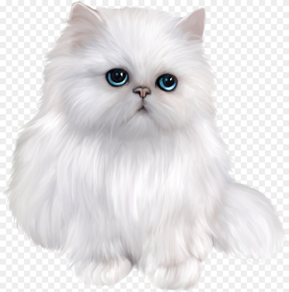 Svg Black And White Stock Transparent Kitten Persian White Persian Cat, Angora, Animal, Mammal, Pet Png