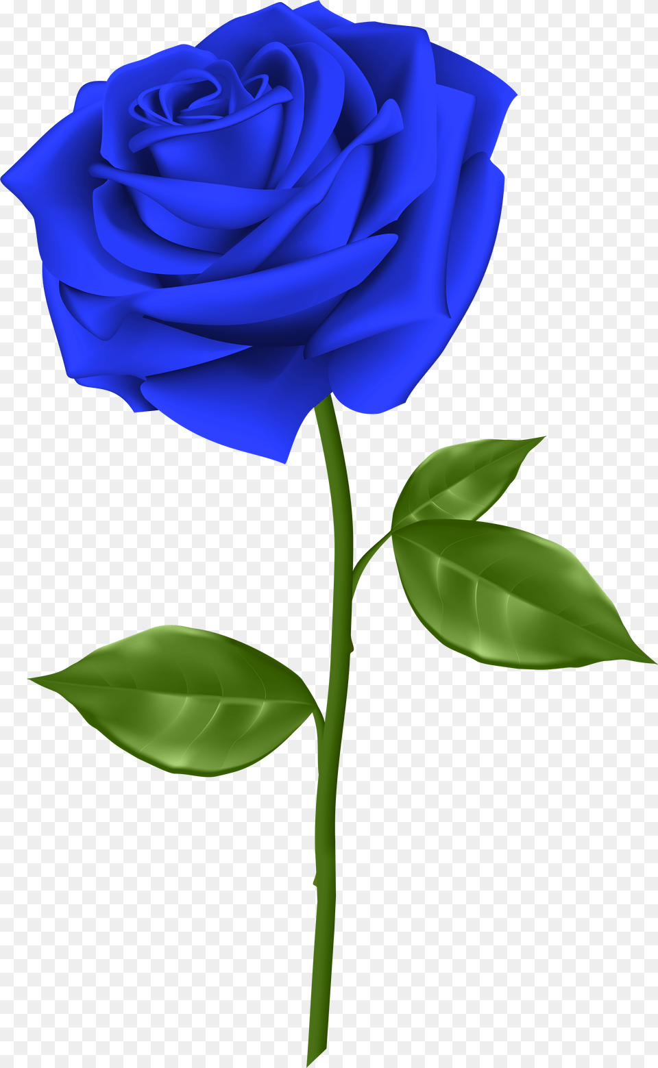 Svg Blue Rose Clipart Blue Rose, Flower, Plant Free Png Download