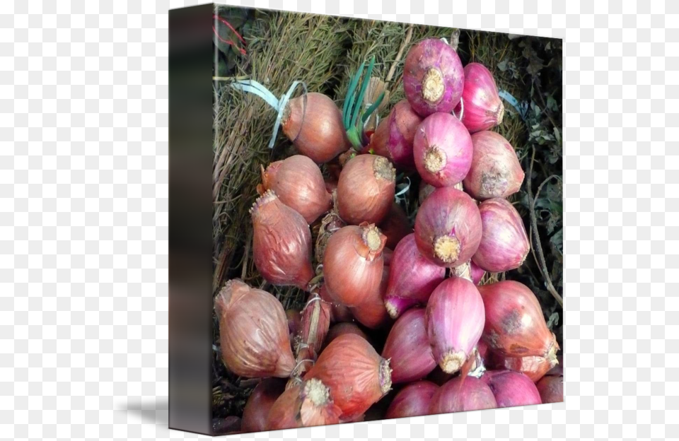 Svg Cebollas Onions By Marcos Granda Red Onion, Food, Produce, Plant, Vegetable Png