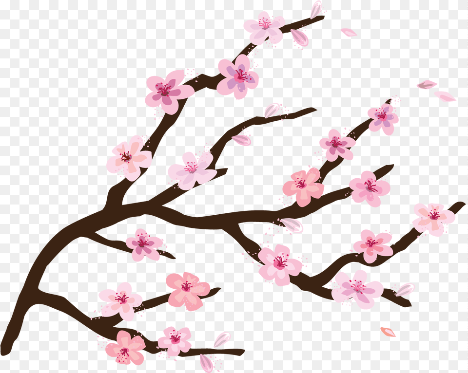 Svg Free Branch Transparent Cherry Tree Envelor Home Cherry Blossom Doormat, Flower, Plant, Cherry Blossom, Person Png Image