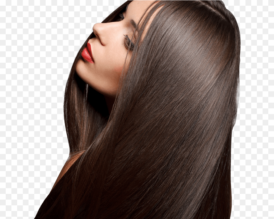 Svg Freeuse Beauty Vector Lady Hair Style Women Long Hair, Adult, Face, Female, Head Free Png Download