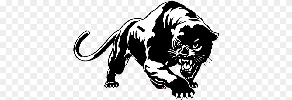 Svg Freeuse Library Climax Scotts Panthers Prp Panther, Stencil, Animal, Mammal, Wildlife Free Png