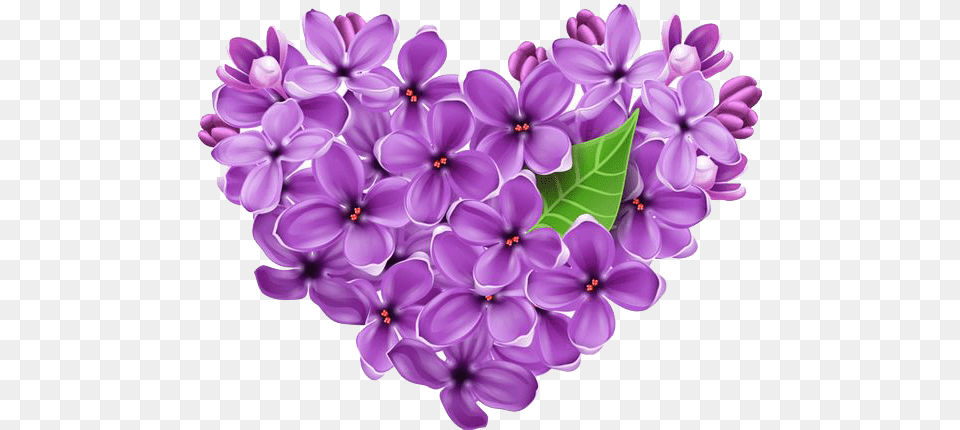 Svg Freeuse Lilac Background Cuore Di Anna Buon Pomeriggio, Flower, Plant Free Transparent Png