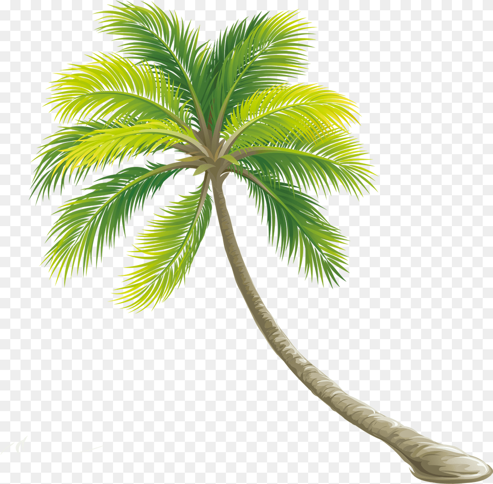 Svg Library Download Tree Color Transprent Trees Images Hd, Palm Tree, Plant, Leaf Free Png