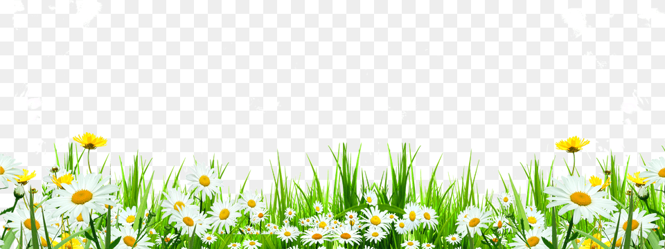 Svg Library Flower Download Icon Cute Flowers Roadside Flowers Weeds, Green, Petal, Plant, Grass Free Transparent Png
