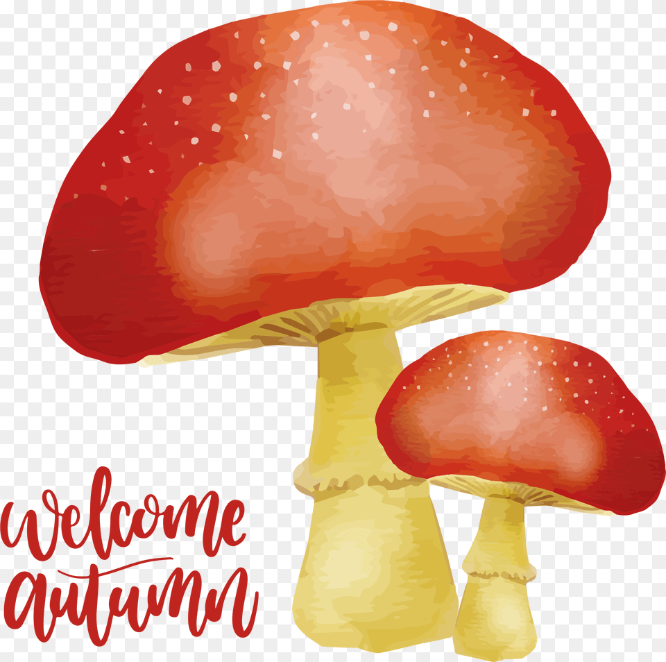 Svg Library Library Autumn Painting Download The Mushroom Cogumelos Aquarela, Agaric, Fungus, Plant, Amanita Png Image