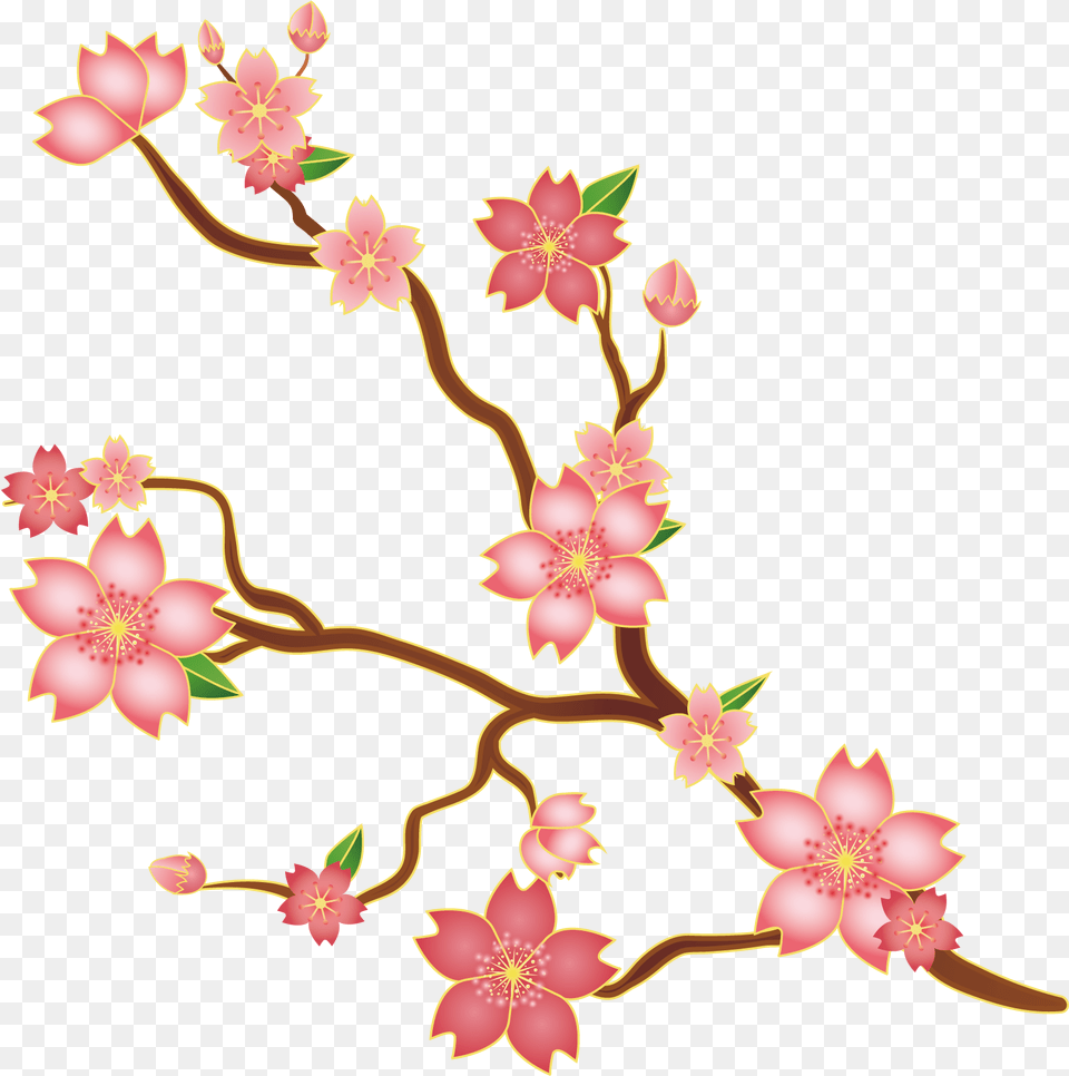 Svg Library Stock Cherry Blossoms Clipart Cherry Blossom Flower Svg, Plant, Pattern, Graphics, Art Free Png Download