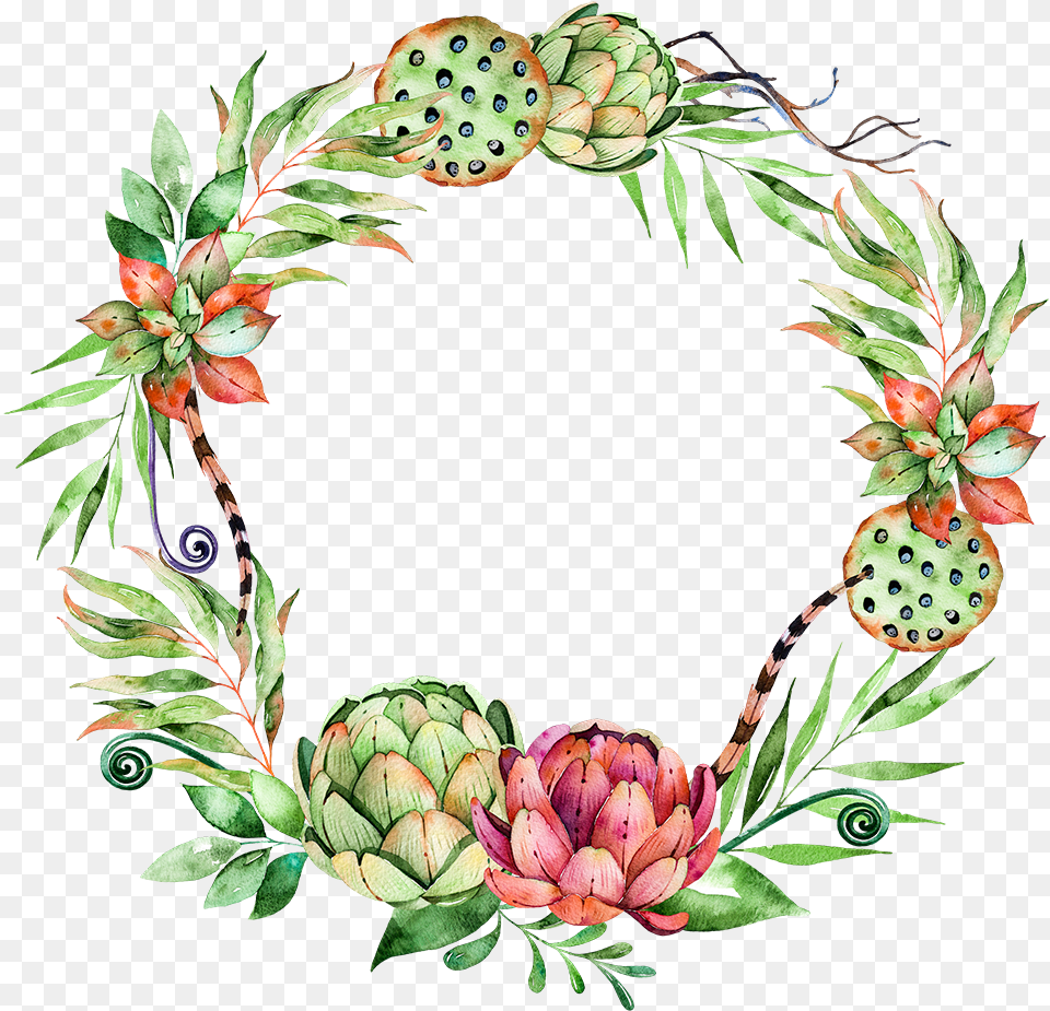 Svg Library Stock Flower Plant Wreath Illustration Succulent Watercolor Wreath, Pattern, Art, Floral Design, Graphics Png Image