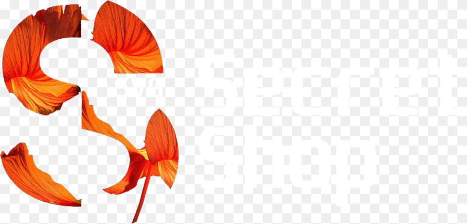 Svg Secret Shop Illustration, Flower, Petal, Plant, Animal Png Image