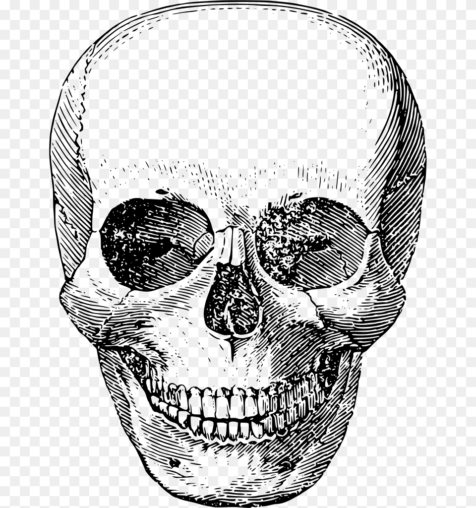 Svg Skeleton Image Aesthetic Skull Transparent Background, Gray Free Png