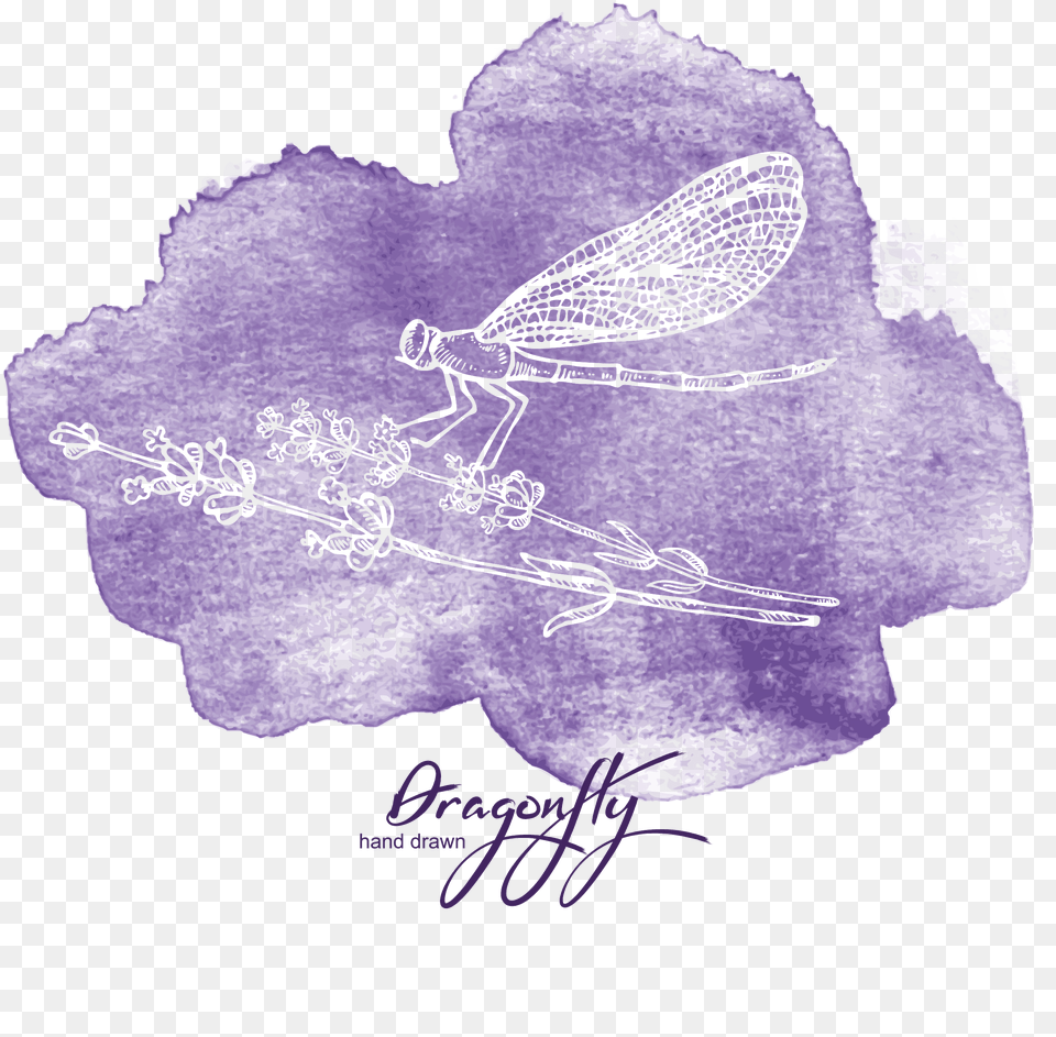 Svg Stock Creative Watercolor Painting Purple Dragonfly Watercolor Painting, Animal, Insect, Invertebrate Free Transparent Png