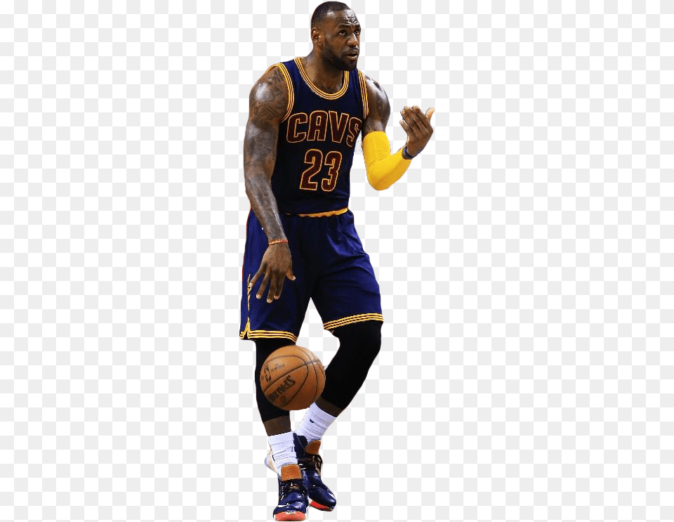 Svg Stock Nike Xiii Limited Luxbron Shoes Lebron James 2016, Sport, Ball, Basketball, Basketball (ball) Free Png Download